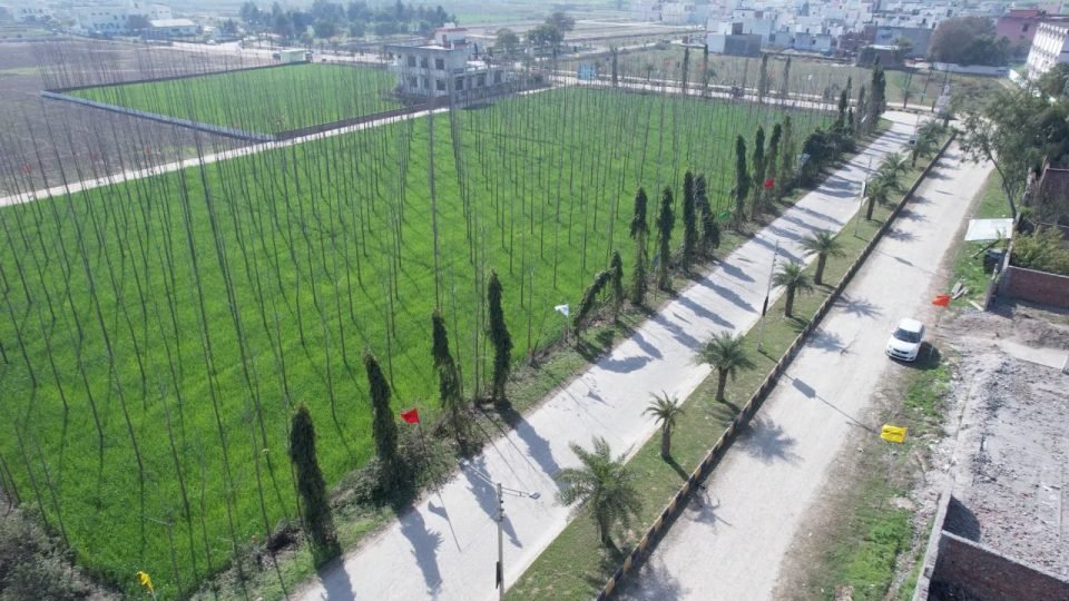 Alaknanda Plots — Haridwar — View across the township